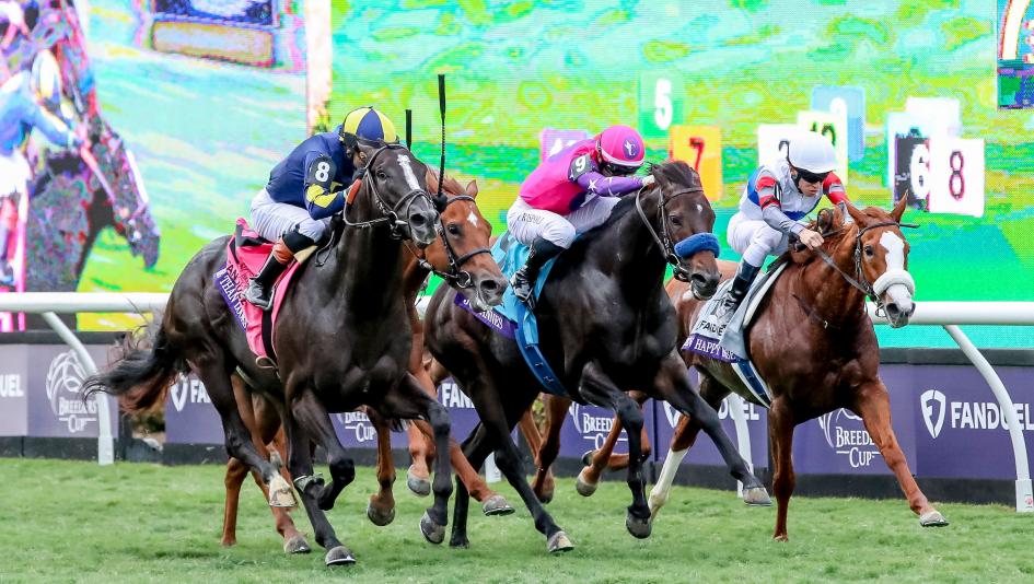 Breeders’ Cup, Del Mar, horse racing, stakes, trifecta, post position, post parade, morning line, exacta, furlong, win, place, show, handicapping, betting, front-runner, pace, closer, stalker, connections, across the board, sire, dam, breeding 
